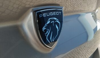 Peugeot 308 SW completo