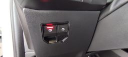Renault e-Megane completo