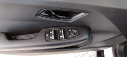 Renault e-Megane completo