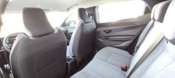 Renault e-Megane completo