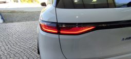 Renault e-Megane completo