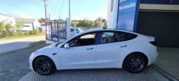 Tesla Model 3 completo