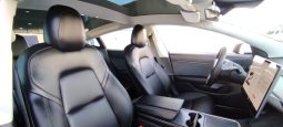Tesla Model 3 completo