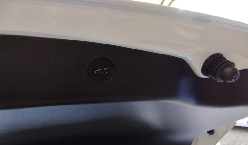 Tesla Model 3 completo