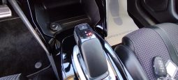 Peugeot e-208 completo