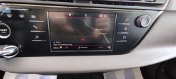 Citroen C4 picasso completo