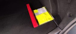 Renault Clio completo