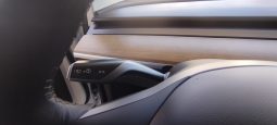 Tesla Model 3 completo