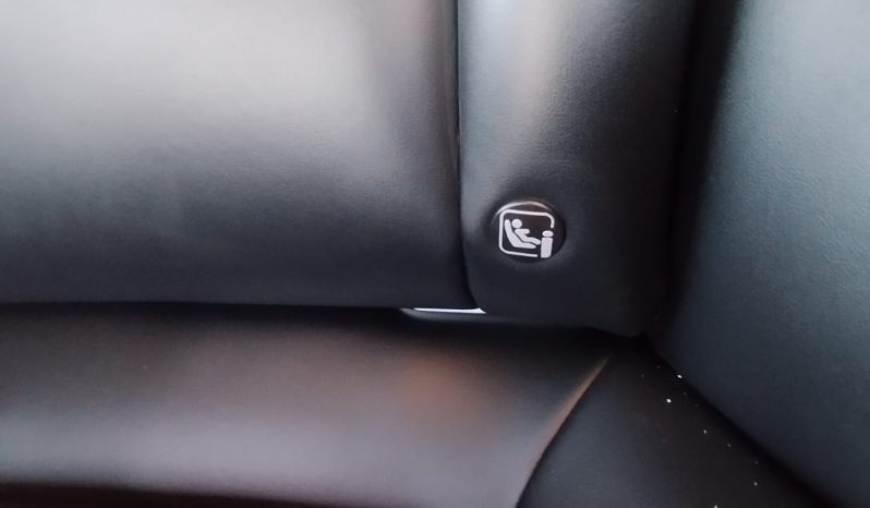 Tesla Model 3 completo