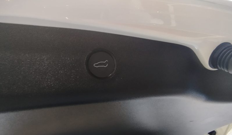 Tesla Model 3 completo