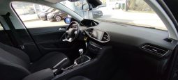 Peugeot 308 SW completo