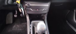 Peugeot 308 SW completo