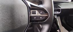 Peugeot e-2008 completo