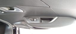 Peugeot e-2008 completo