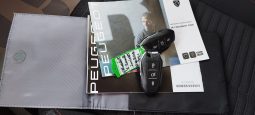 Peugeot e-2008 completo