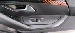 Peugeot e-2008 completo