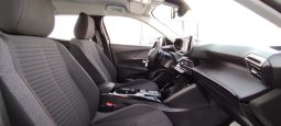 Peugeot e-2008 completo