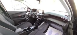 Peugeot e-2008 completo
