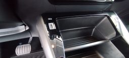 Peugeot e-208 completo