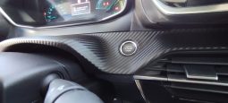 Peugeot e-208 completo