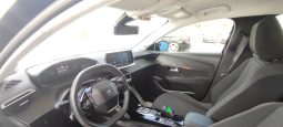 Peugeot e-208 completo