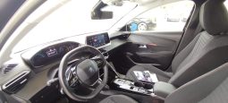 Peugeot e-208 completo