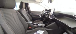 Peugeot e-208 completo