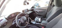 Peugeot e-2008 completo