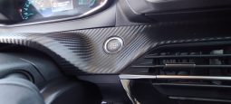 Peugeot e-2008 completo