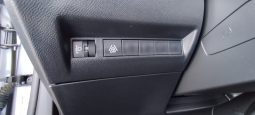 Peugeot e-2008 completo