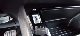 Peugeot e-2008 completo