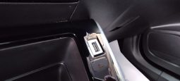 Peugeot e-2008 completo