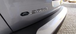 Peugeot e-2008 completo