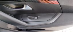 Peugeot e-2008 completo