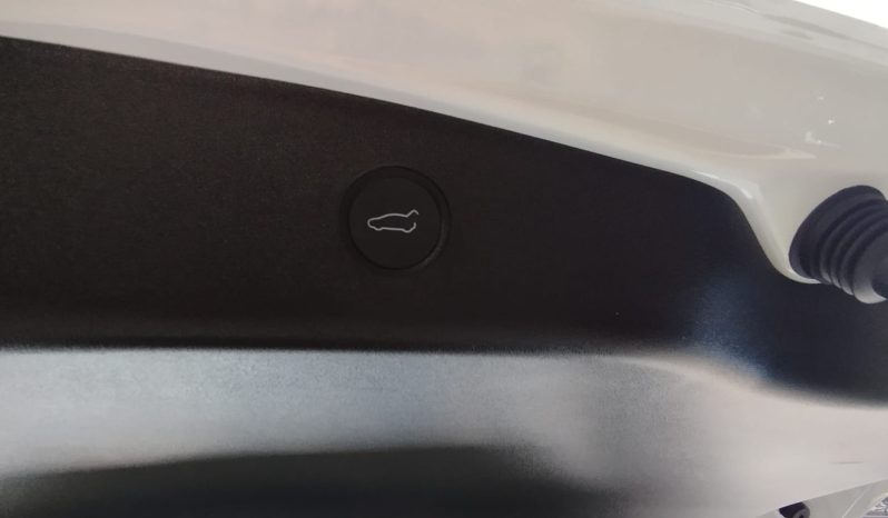 Tesla Model 3 completo