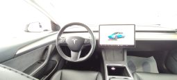 Tesla Model 3 completo