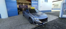 Peugeot 308 SW completo