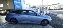 Peugeot 308 SW completo