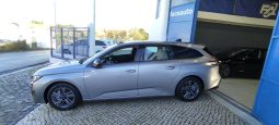 Peugeot 308 SW completo