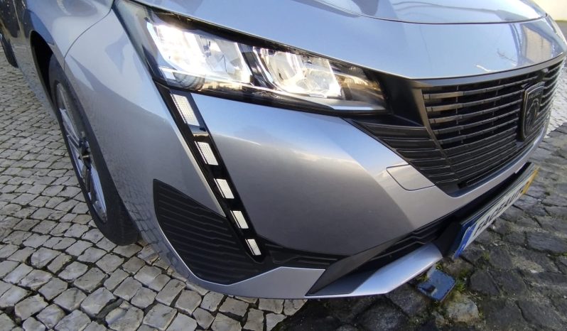 Peugeot 308 SW completo