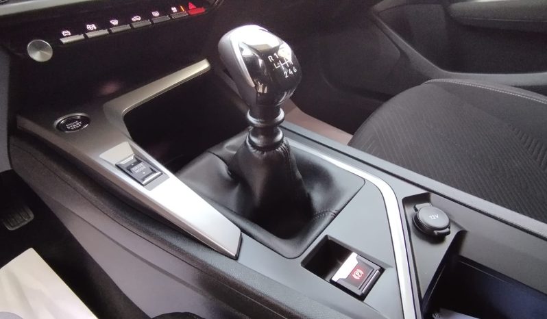 Peugeot 308 SW completo