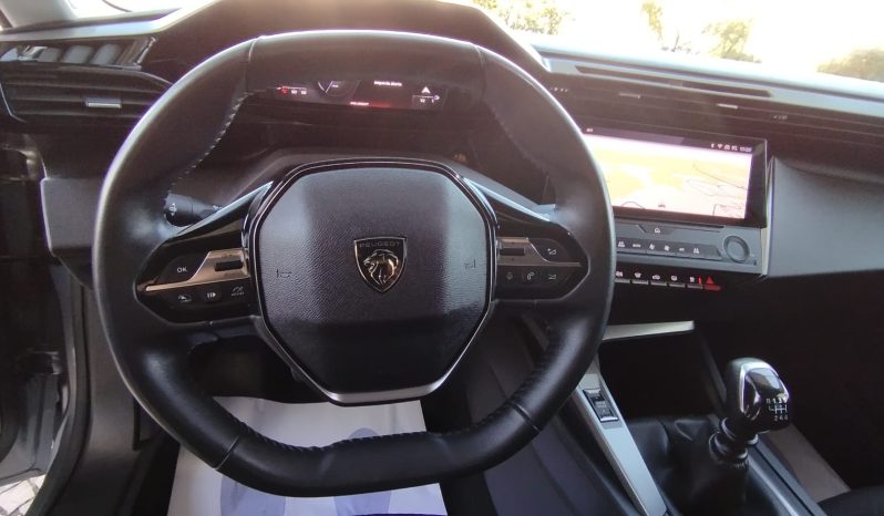 Peugeot 308 SW completo