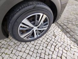 Peugeot 5008 completo