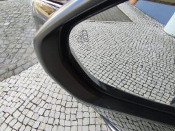 Peugeot 5008 completo