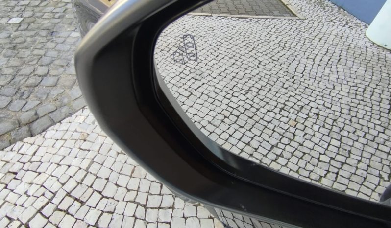 Peugeot 5008 completo