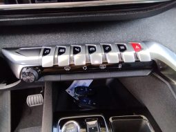 Peugeot 5008 completo