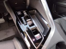 Peugeot 5008 completo