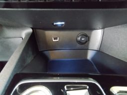 Peugeot 5008 completo