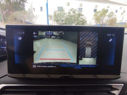 Peugeot 3008 Cx Auto completo