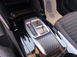 Peugeot e-208 completo